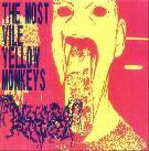 The Most Vile Yellow Monkeys